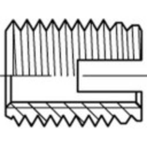 Alstertaler Schrauben & Präzisionsteile 159833 Gewindeeinsätze M6 14mm 25St.