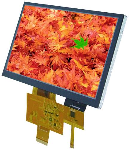 DISPLAY VISIONS LCD-Display (B x H x T) 165 x 100 x 5.8mm