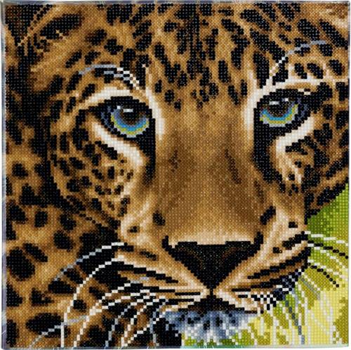 Crystal Art Leinwand Leopard 30x30cm CAK-A66