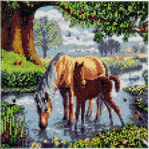 Crystal Art Leinwand Ponys 30x30cm CAK-SC1