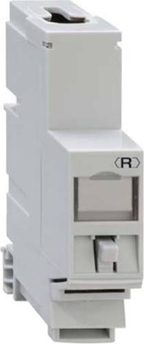 Rutenbeck UM-Cat.6A iso-REG REG-Montageadapter UM-Cat.6A iso A iso-REG 13910200 1St.