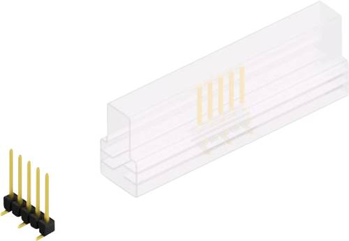 Fischer Elektronik Stiftleiste (Standard) Anzahl Reihen: 1 10047697 10St.